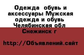 Одежда, обувь и аксессуары Мужская одежда и обувь. Челябинская обл.,Снежинск г.